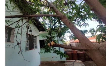 Outros em São Simão, Jardim Das Flores, Rua Simão Ignácio de Carvalho, 1110, Vila Monteiro, São Simão/SP, SP. Área: 1554.88m2