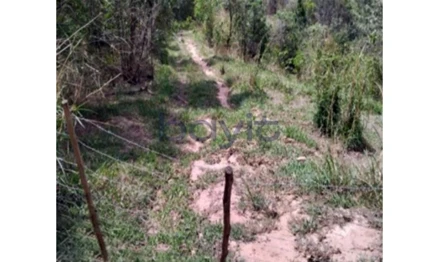 Área rural em Atibaia, null, privilegeda no Bairro da Campininha, na estância climática de Atibaia/SP, SP. Área: 287449.81m2