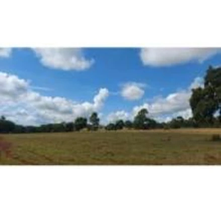 Área rural em Ituiutaba, null, Córrego do Brejão, na região da antiga Fazenda Campo Alegre, MG. Área: 76.86m2