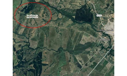 Casa em Arroio Grande, null, Campo localizado neste município, distrito de Mauá, com a área de vinte e cinco hectares, noventa ares e oitenta e seis centiares, RS. Área: nullm2