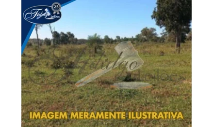 Área rural em Caracol, null, ZONA RURAL - CENTRO - CARACOL/MS, MS. Área: nullm2