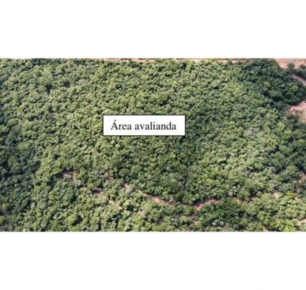 Área rural em Assis, null, Assis, SP, SP. Área: 9.6m2