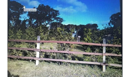 Terreno em São Francisco do Sul, null, null, SC. Área: 375m2