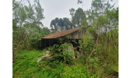 Área rural em Três Barras, null, lugar denominado "Barra Grande", SC. Área: 30000m2