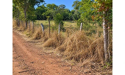 Área rural em Laranjal Paulista, null, Laranjal Paulista, SP, SP. Área: nullm2