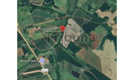 Área rural em Tanabi, null, FAZENDA NOVA ou RIBEIRÃO BONITO, SP. Área: nullm2