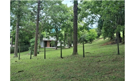 Terreno em Encantado, Lajeadinho, Rodovia RS-129, KM 68 + 700, RS. Área: nullm2