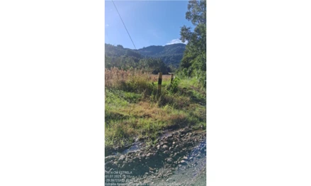 Área rural em Imigrante, null, Estrada Arroio da Seca Baixa- Linha Ernesto Alves, RS. Área: nullm2