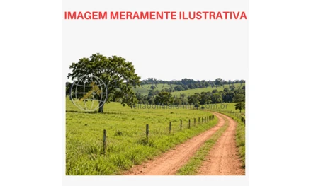 Área rural em Guararapes, null, Bairro Nova Serrinha, imóvel geral "Fazenda Bagassú", Guararapes-Ribeiro do Vale, SP. Área: nullm2