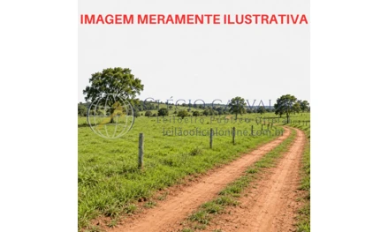 Área rural em Guararapes, null, Bairro da Seringa, Fazenda Bagassú, SP. Área: nullm2