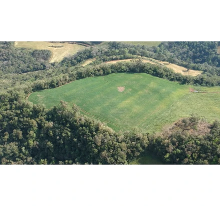 Área rural em Floriano Peixoto, null, interior, s/nº, RS. Área: nullm2