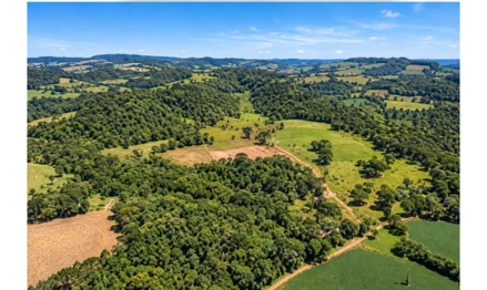 Área rural em Erval Velho, Linha São Mateus, Interior de Erval Velho/SC, quem vem de Herval D´Oeste pela BR 282, passa pelo posto Pazinato, entrada a direita anterior a empresa Replaspi, terreno nos fundos da terraplanagem que faz divisa com a Br 282, Herval D´Oeste /SC, SC. Área: 34501.69m2 Área rural em Erval Velho, Linha São Mateus, Interior de Erval Velho/SC, quem vem de Herval D´Oeste pela BR 282, passa pelo posto Pazinato, entrada a direita anterior a empresa Replaspi, terreno nos fundos da terraplanagem que faz divisa com a Br 282, Herval D´Oeste /SC, SC. Área: 34501.69m2