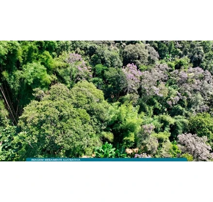 Terreno em São Bernardo do Campo, Montanhão, Estrada do Montanhão, Lote 69, Jardim Nascimento, São Bernardo do Campo, SP, SP. Área: 111547m2 Terreno em São Bernardo do Campo, Montanhão, Estrada do Montanhão, Lote 69, Jardim Nascimento, São Bernardo do Campo, SP, SP. Área: 111547m2