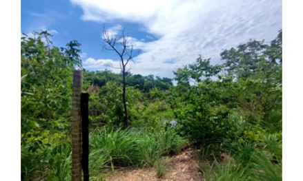 Outros em Cuiabá, Rio Dos Peixes, MT 251, KM 23, NO LOTEAMENTO RIO DOS PEIXES, MT. Outros em Cuiabá, Rio Dos Peixes, MT 251, KM 23, NO LOTEAMENTO RIO DOS PEIXES, MT.