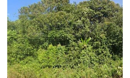 Terreno em Porto Velho, Lote de terras rural nº 50, da Gleba 18, Setor Manoa, Gleba Rio Preto, RO. Terreno em Porto Velho, Lote de terras rural nº 50, da Gleba 18, Setor Manoa, Gleba Rio Preto, RO.