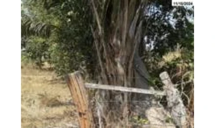 Terreno em Ananás, Avenida Duque de Caxias, s/n, saída para Riachinho-TO, à esquerda, Chapadinha I, Centro, TO. Área: 14340.14m2 Terreno em Ananás, Avenida Duque de Caxias, s/n, saída para Riachinho-TO, à esquerda, Chapadinha I, Centro, TO. Área: 14340.14m2